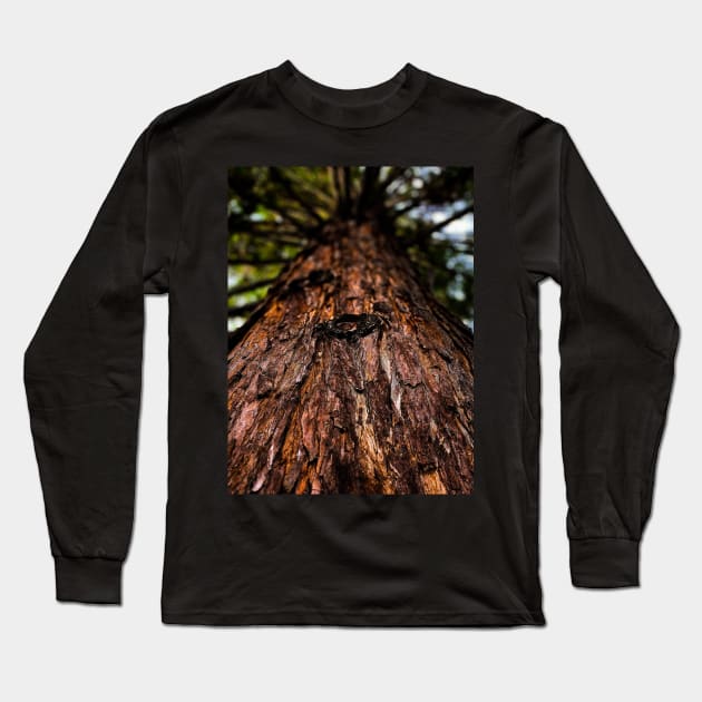 Looking Up Long Sleeve T-Shirt by RobertsArt